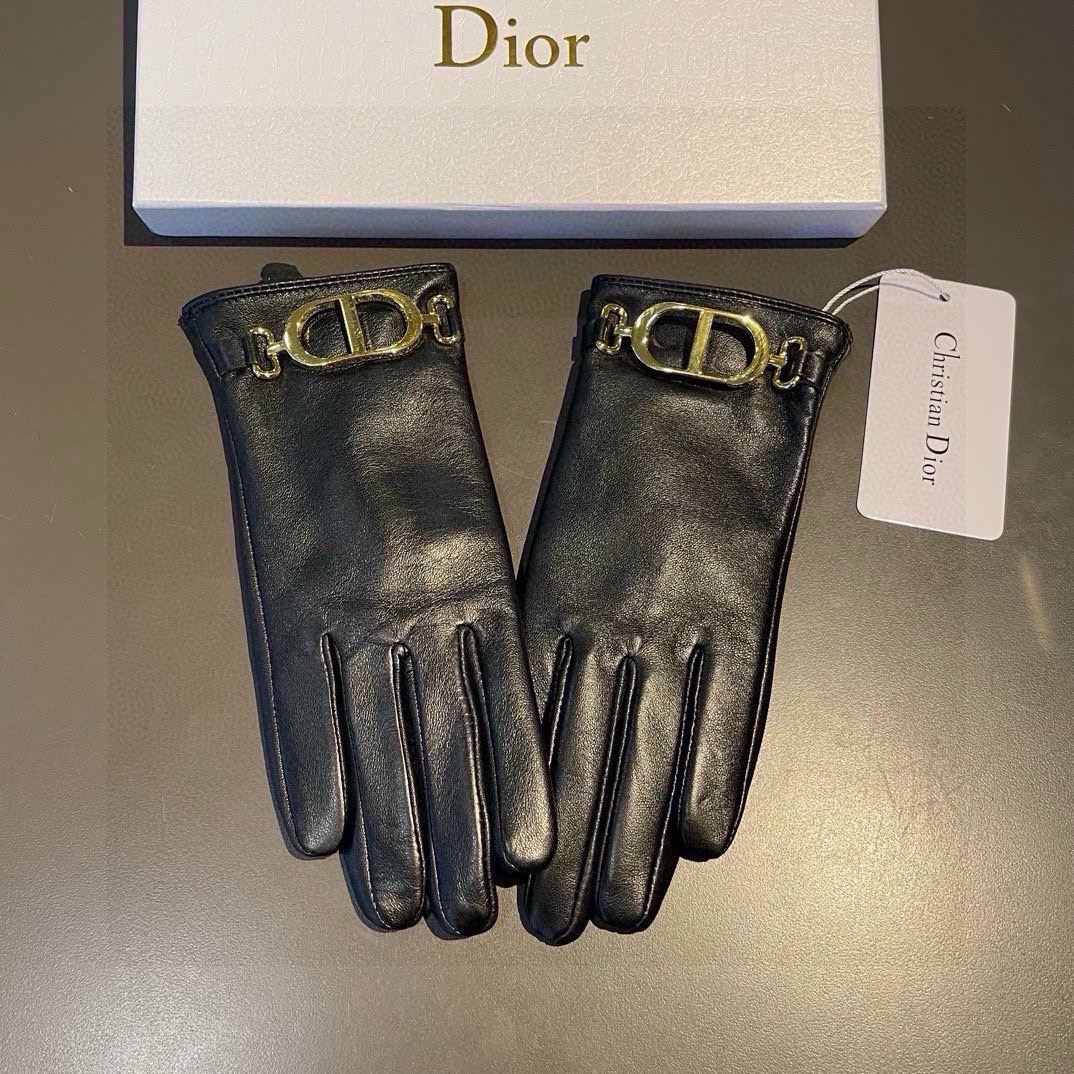 Christian Dior Gloves